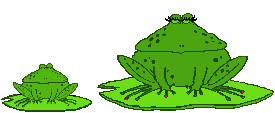 Frogks3